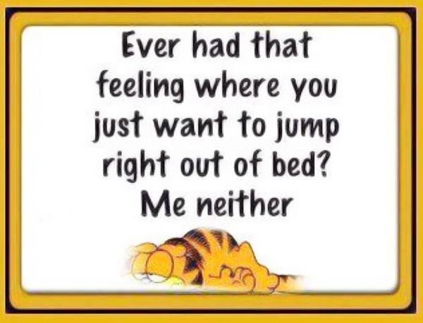 fibromyalgia meme: ever had that feeling where you just want to jump right out of bed? me neither.