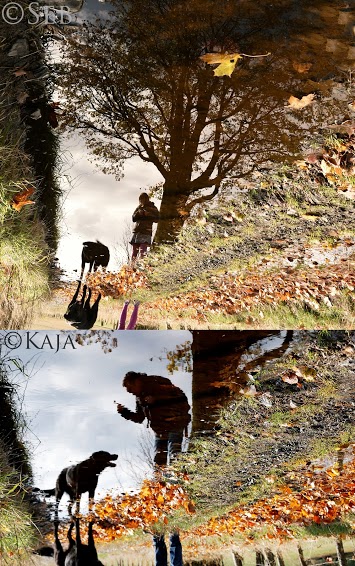 Person and dog reflected in pond from two different angles. 