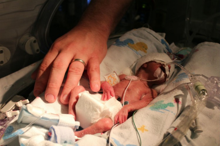 preemie baby in incubator