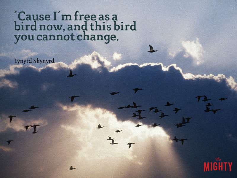 Photo of birds flying that reads "'Cause I'm free as a bird now, and this bird you cannot change."