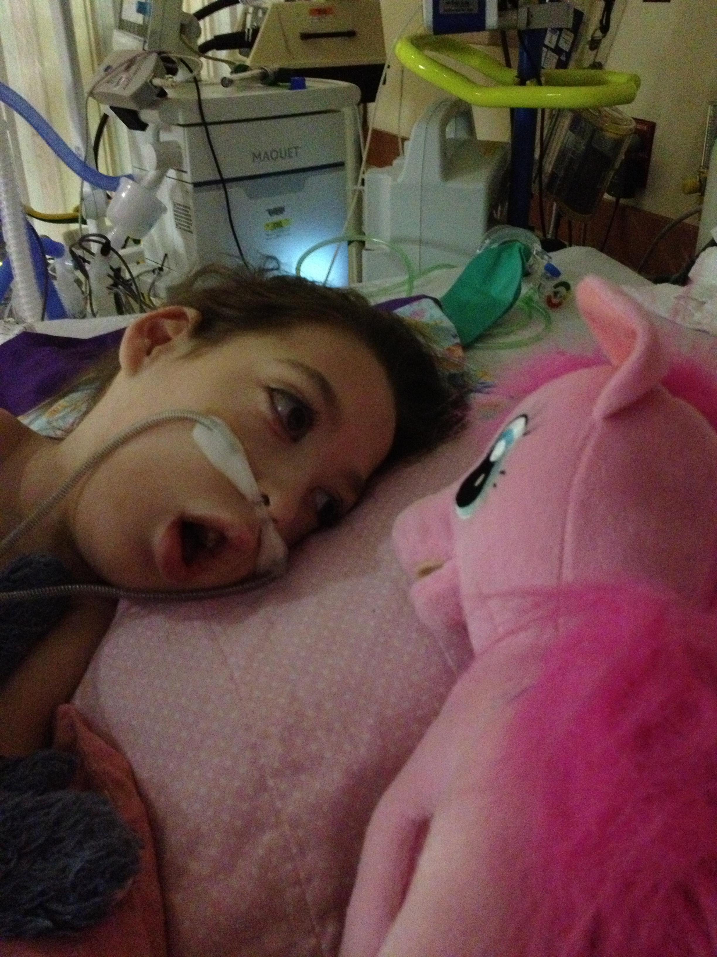 The author's daughter next to a stuffed pink unicorn