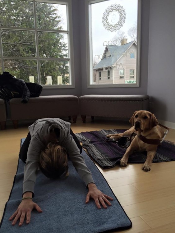 woman doing yoga next to her service dog