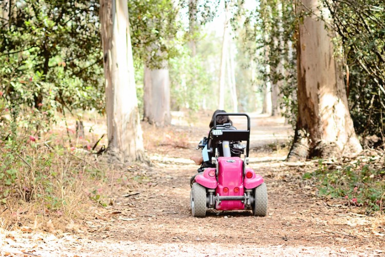 girl riding wheelchair in the woods