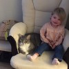 little girl in armchair with cat