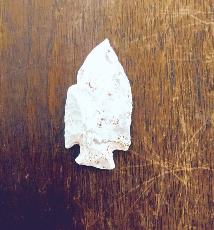 A white arrowhead