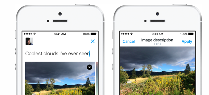 Twitter Rversed Text Twitter Enables Alternative Text So Images Are 'Accessible to Everyone'