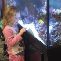 girl looking at aquarium tank
