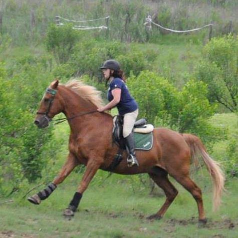 Amanda Wroten - woman riding a brown horse outdoors. 