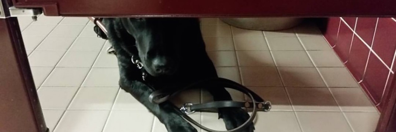 Don't Use the Accessible Public Bathroom Unless You Have a Disability