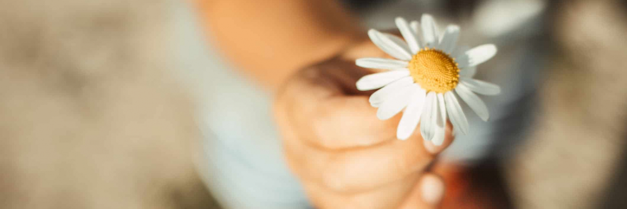a person holding a daisy with the background behind blurred