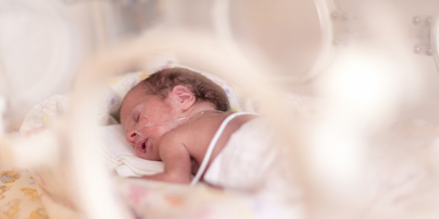 premature newborn baby girl in incubator