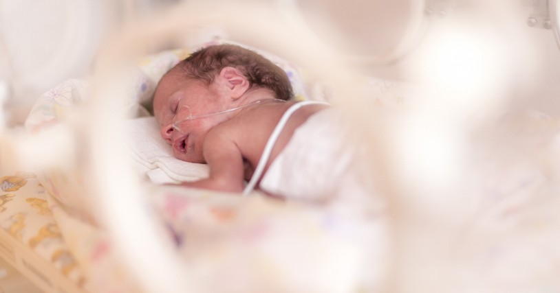 premature newborn baby girl in incubator