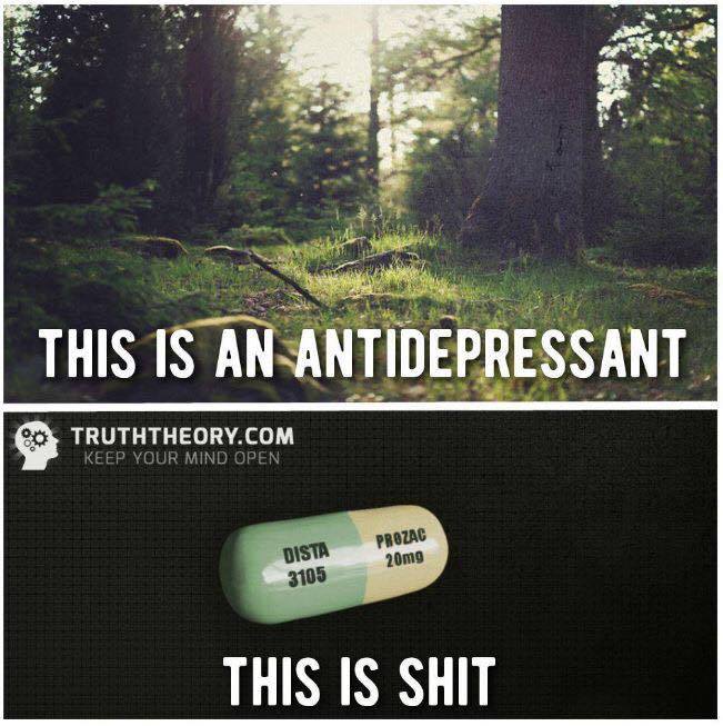 Memes shows two photos. On the top is a picture of the woods. Text reads "This is an antidepressant." Bottom shows a picture of pill. Text reads: "This is shit."