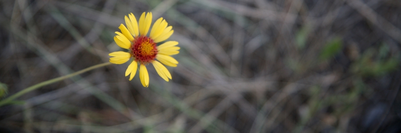 Response to XOJane Article: No Mentally Ill Person Is 'Beyond Help'