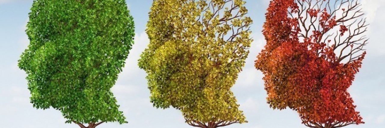 The Difference Between Brain Fog and Forgetfulness green yellow and red tree shaped like heads
