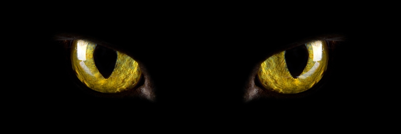 Depression Feels Like a Monster Controlling My Brain cat's eyes glowing in the dark.