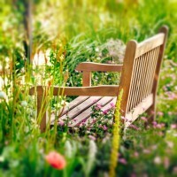 Wooden Bench in a wildflower garden. Square composition.