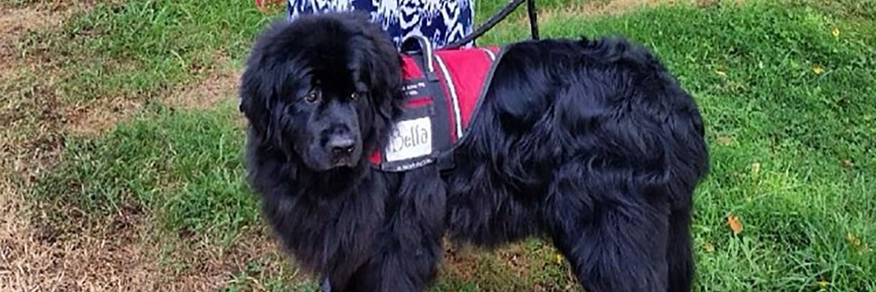 Bringing My Service Dog Everywhere Isn't 'Lucky' Lesley and service dog Bella.