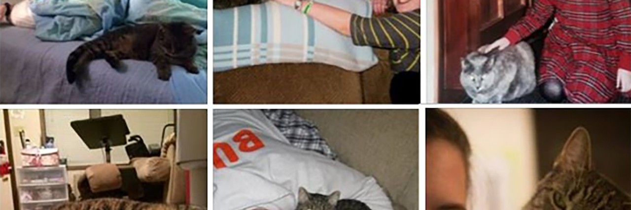 Being an Autism Advocate With Mitochondrial Disease Lydia Wayman.