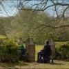 Image from "Me Before You".