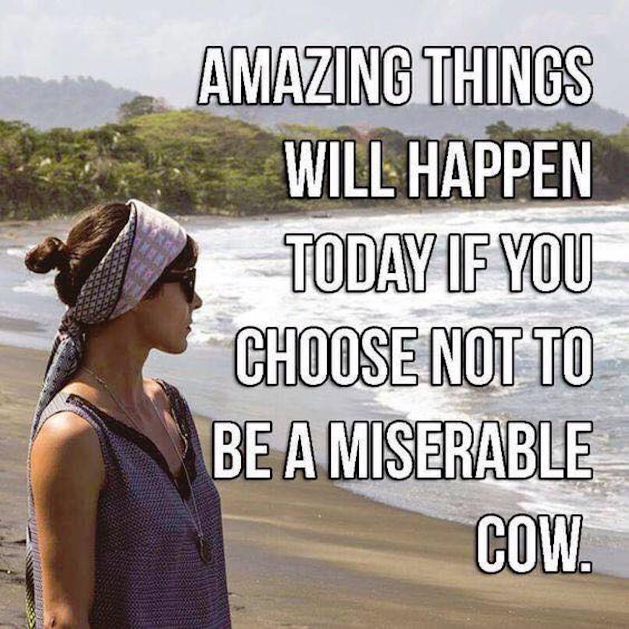 meme that says 'amazing things will happen today if you choose not to be a miserable cow'