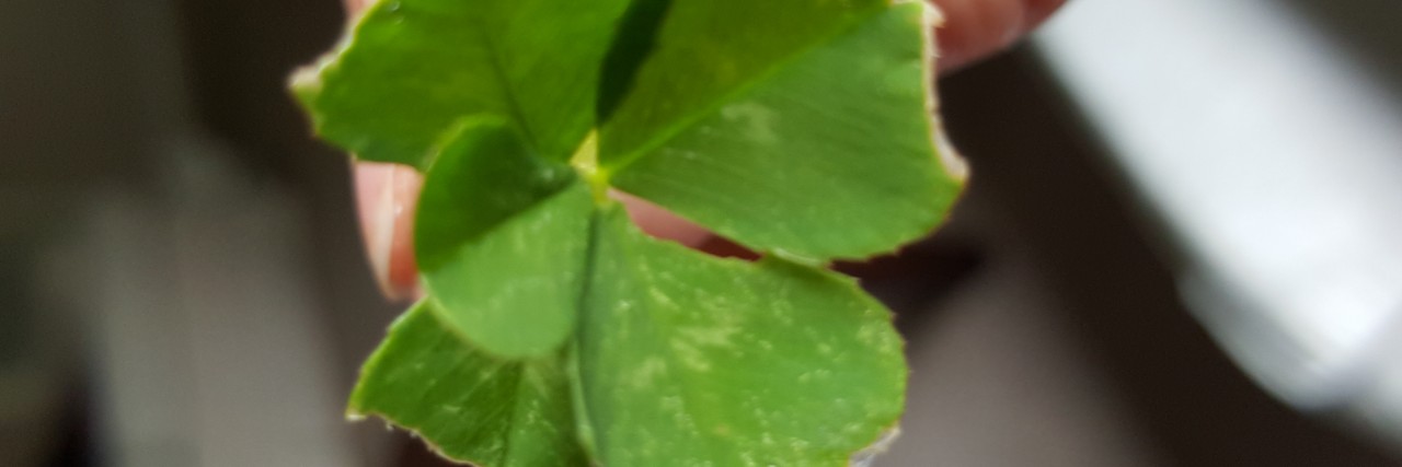 a five-leaf clover
