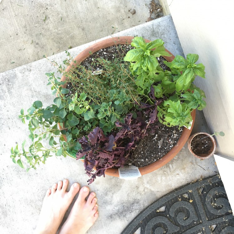 woman's feet standing next to a pot of herbs