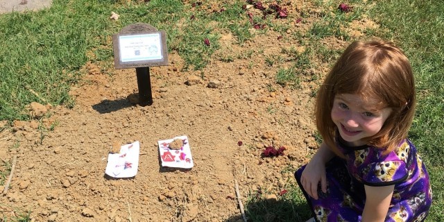 When the Doctor Told Me My Son's Underdeveloped Heart Stopped Beating juliet at david's grave