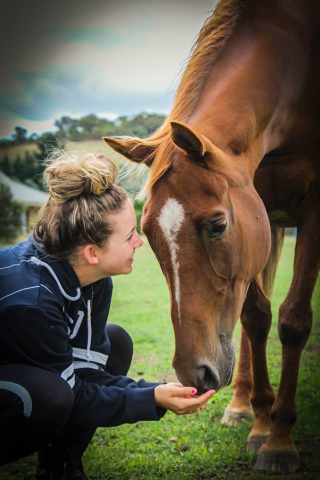 The author feeding a horse