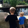 big and little brother looking at a pond