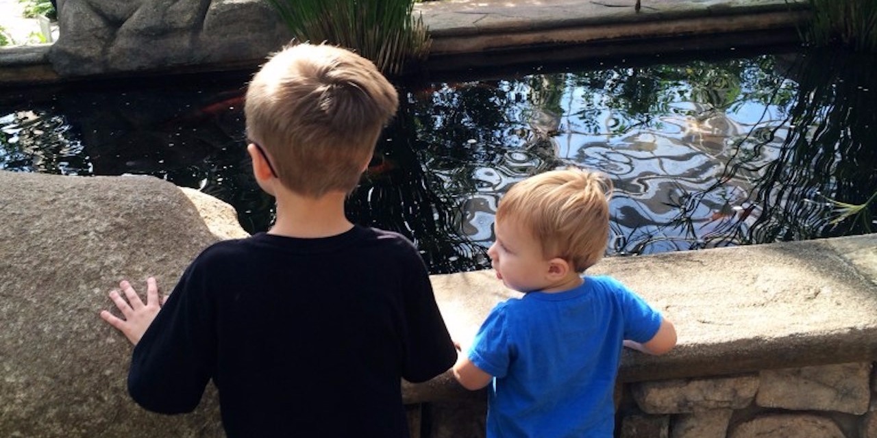 Crying Over an Autism Diagnosis