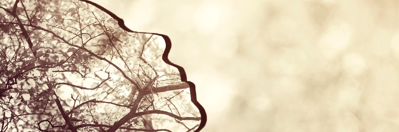 A Break Up Letter to My Eating Disorder image of a person looking up, filled in with images of trees