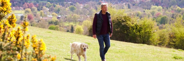 Mature Man Taking Golden Retriever For Walk In Countryside