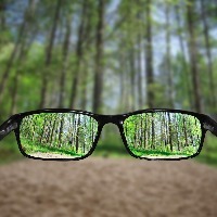 glasses being held up in front of a forest
