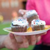 Hand holding plate of cupcakes outdoors
