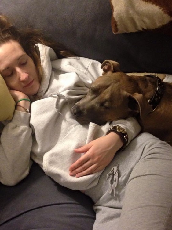 dog resting with woman on couch