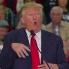 Donald Trump mocks a reporter with a disability.