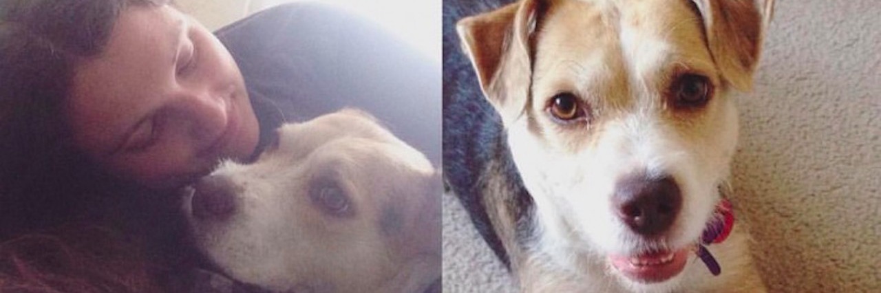 To My Dog Who Loves Me Unconditionally Through My Anxiety A collage of photos of a woman and her dog