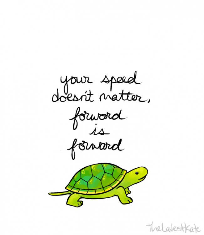 Turtle with "your speed doesn't matter, forward is forward"