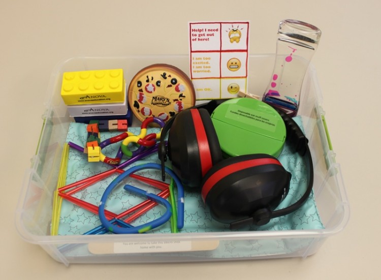 Anova sensory-friendly kit