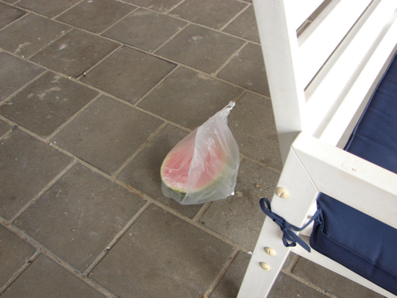 watermelon in a bag