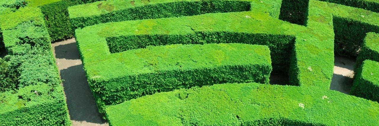 Thyroid Cancer: Why I Feel Like I’m in a Maze hedge maze