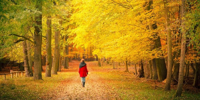 woman walking in a park in autumn