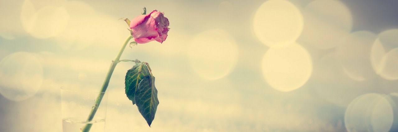 Suicide Loss: There's No 'Getting Better' in the Grieving Process rose in a jar