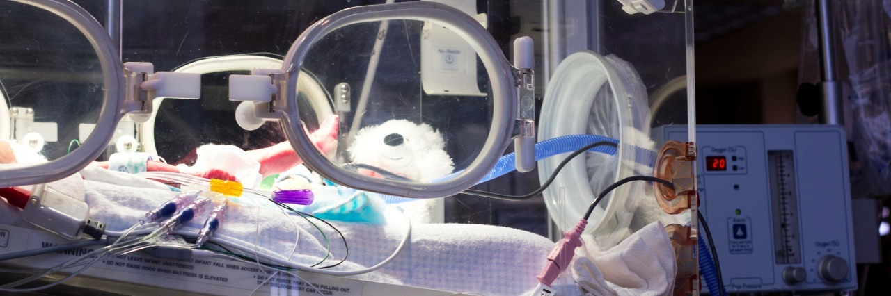 a newborn in an incubator in the nicu unit