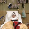 little boy in a hospital bed with a service dog