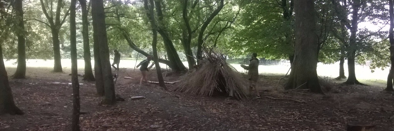 How to Go Camping If You Have a Chronic Illness forest of trees with tent