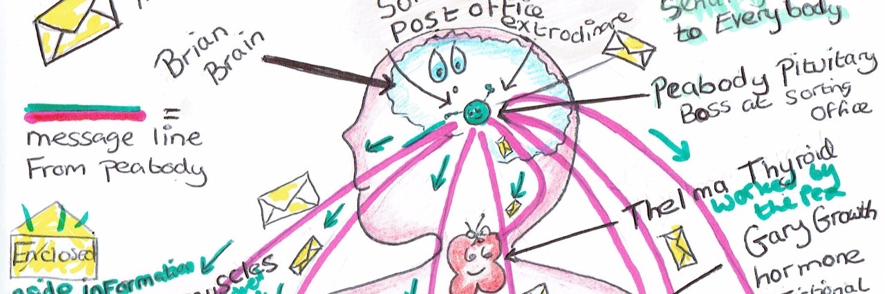 What Is Hypopituritsm? A Non-Scientist's Guide pituitry cartoon