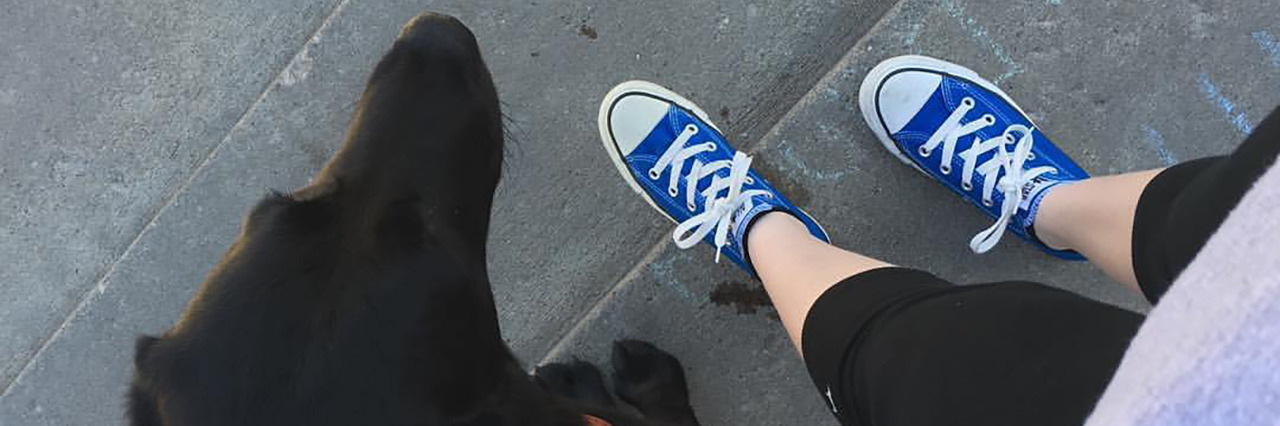 Taking Your Dog Everywhere Isn't 'Lucky' for Service Dog Handlers View looking down at a black labrador guide dog and her handler standing at the top of a flight of cement stairs.