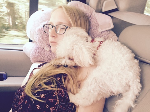 girl sitting in car with fluffy white dog